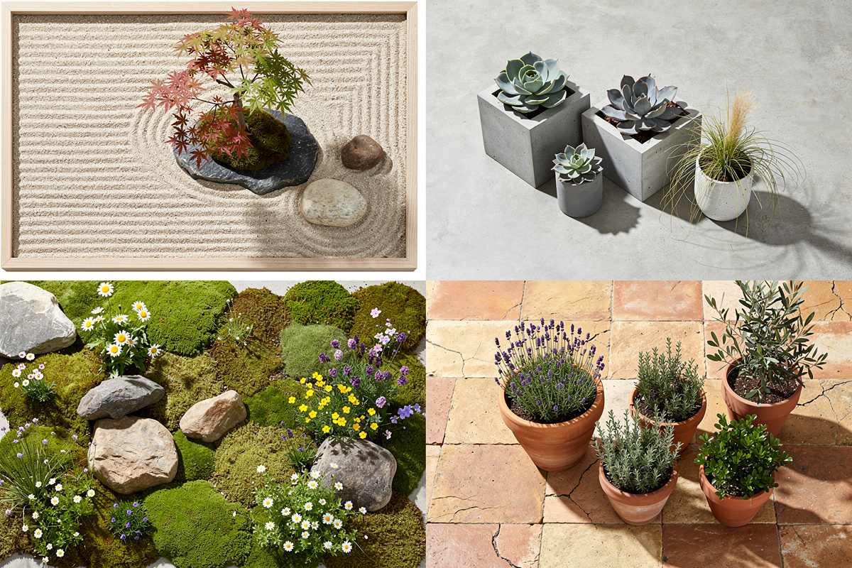 Comparaison de quatre styles d'aménagement petit jardin : zen, contemporain, naturel et méditerranéen en vue aérienne